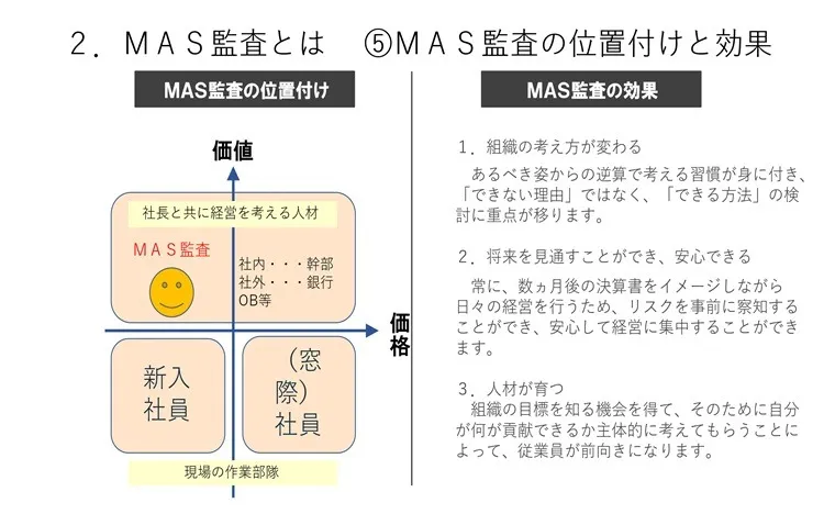 MAS監査の提案書の例
